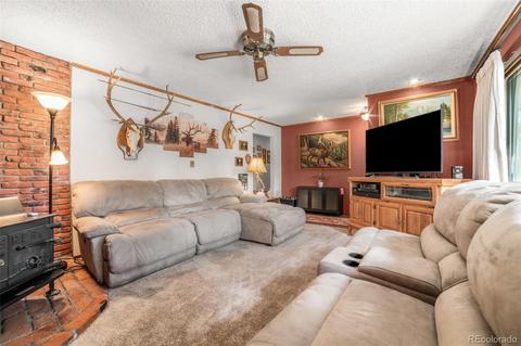 5655 County Road 72, Bailey, CO 80421 photo 5