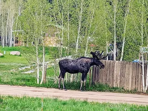 Other - 132 Jones Rd, Bailey, CO 80421 photo 14 of 25