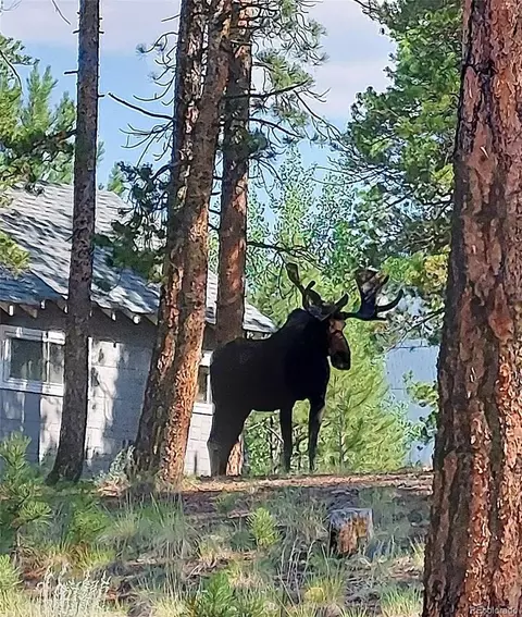 Other - 132 Jones Rd, Bailey, CO 80421 photo 18 of 25