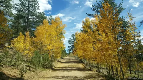 Other - 132 Jones Rd, Bailey, CO 80421 photo 21 of 25