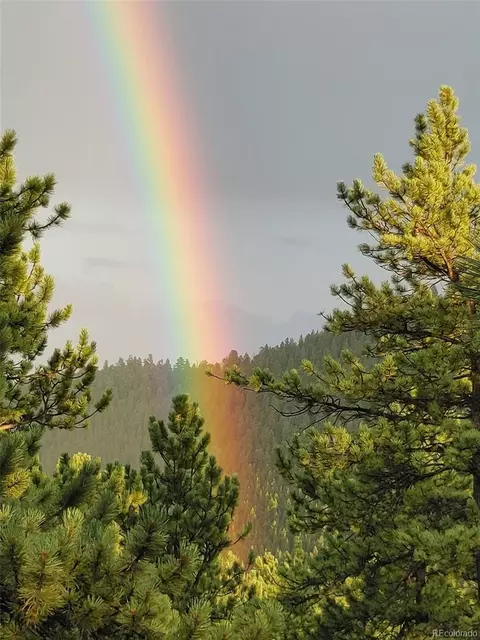 Other - 132 Jones Rd, Bailey, CO 80421 photo 17 of 25
