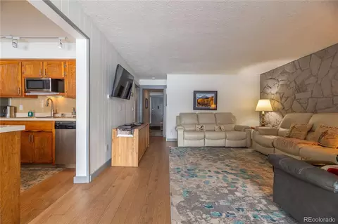 Living - 176 E La Bonte St #104, Dillon, CO 80435 photo 4 of 6