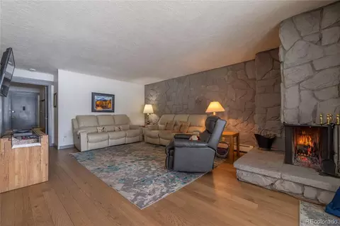 Living - 176 E La Bonte St #104, Dillon, CO 80435 photo 5 of 6