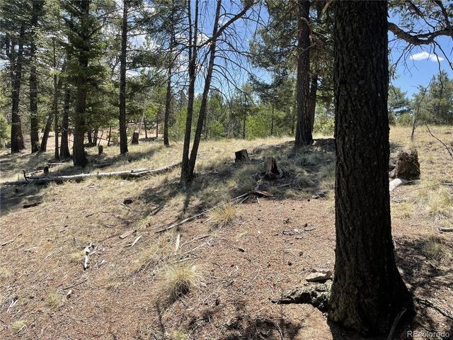 971 Spring Valley Ln, Florissant, CO 80816