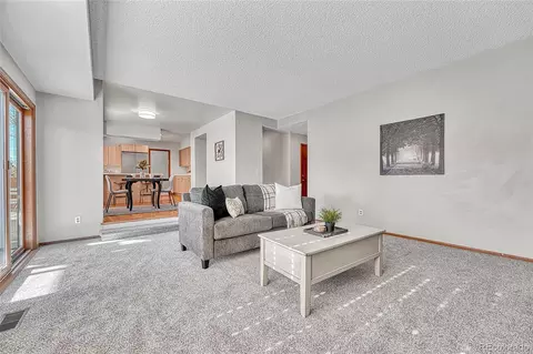 16672 E Prentice Cir, Centennial, CO 80015 photo 17