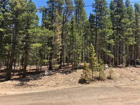 Silver Creek Road, Idaho Springs, CO 80452