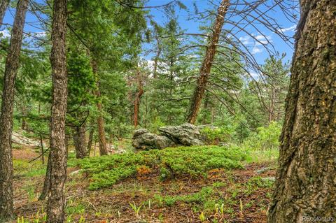 9174 Us Highway 285, Morrison, CO 80465 photo 6
