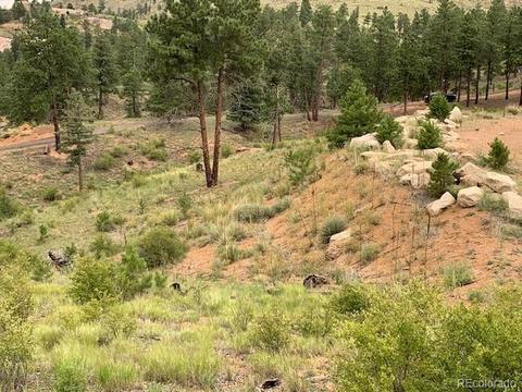 28442 Eagles Gate Rd, Pine, CO 80470 photo 5