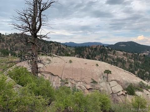28442 Eagles Gate Rd, Pine, CO 80470 photo 12