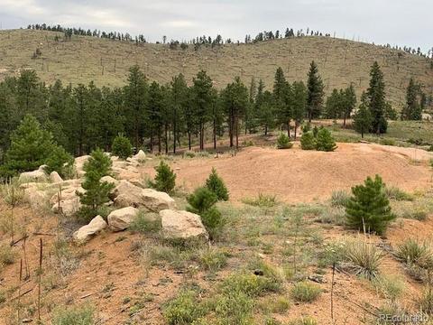 28442 Eagles Gate Rd, Pine, CO 80470 photo 7