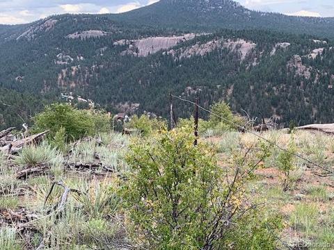 28442 Eagles Gate Rd, Pine, CO 80470 photo 4