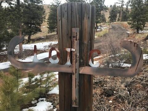 28442 Eagles Gate Rd, Pine, CO 80470 photo 21
