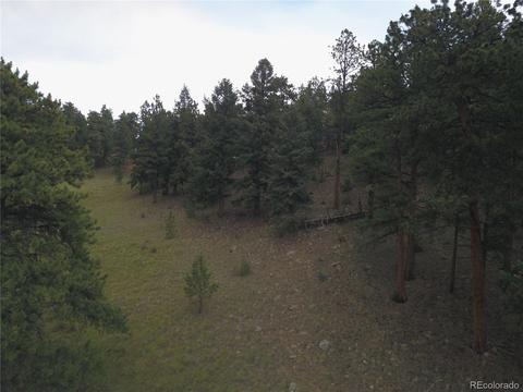 246 Diamond Dr, Pine, CO 80470 photo 11