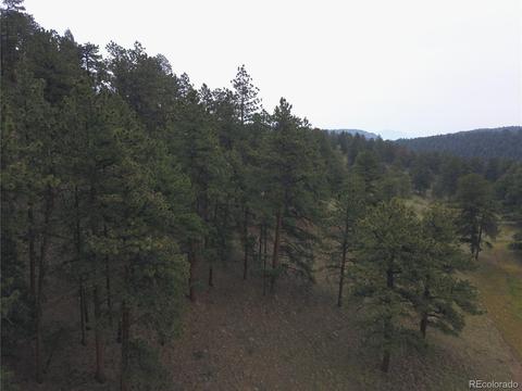 246 Diamond Dr, Pine, CO 80470 photo 8