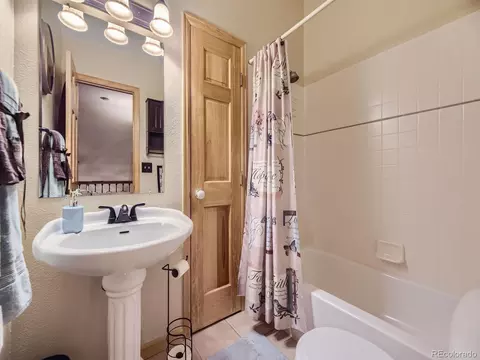 646 Sleepy Hollow Dr, Bailey, CO 80421 photo 22