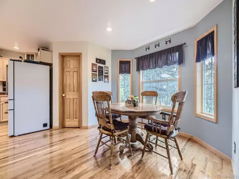 646 Sleepy Hollow Dr, Bailey, CO 80421 photo 13