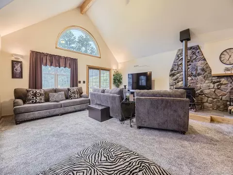 646 Sleepy Hollow Dr, Bailey, CO 80421 photo 6