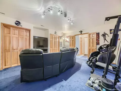 646 Sleepy Hollow Dr, Bailey, CO 80421 photo 24
