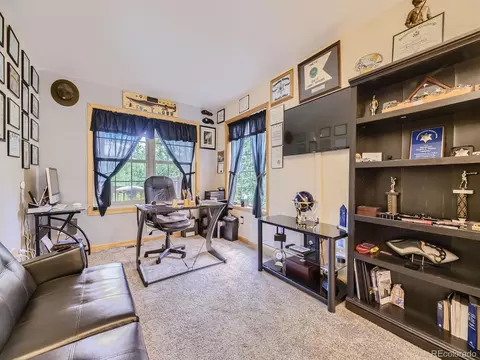 646 Sleepy Hollow Dr, Bailey, CO 80421 photo 8
