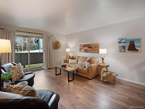 535 Straight Creek Dr #101, Dillon, CO 80435