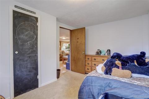 28459 Pine Trl, Conifer, CO 80433 photo 20