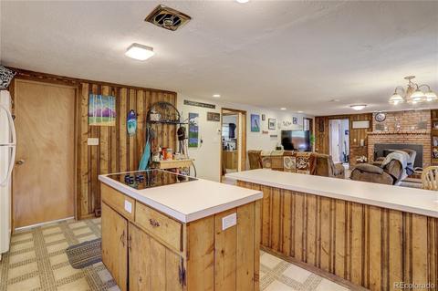 28459 Pine Trl, Conifer, CO 80433 photo 8