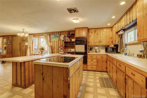 28459 Pine Trl, Conifer, CO 80433 photo 10