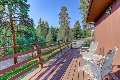 28459 Pine Trl, Conifer, CO 80433 photo 30