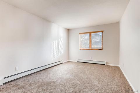 268 E Park Ave, Empire, CO 80438 photo 17