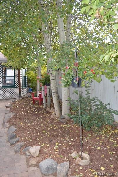 268 E Park Ave, Empire, CO 80438 photo 5