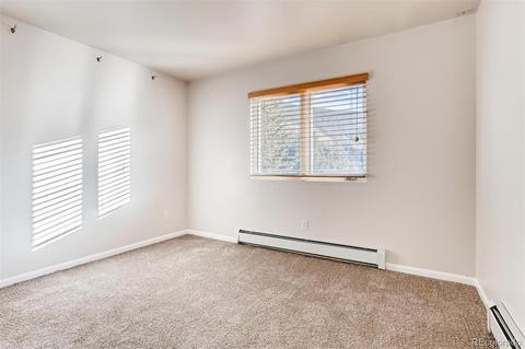268 E Park Ave, Empire, CO 80438 photo 23