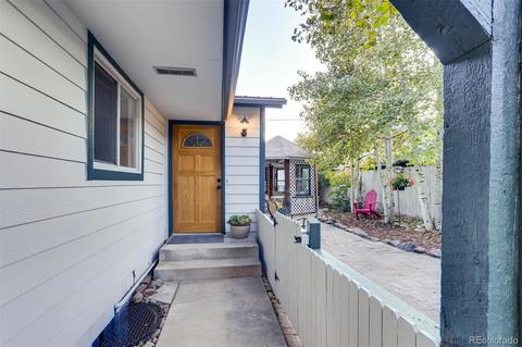 268 E Park Ave, Empire, CO 80438 photo 27