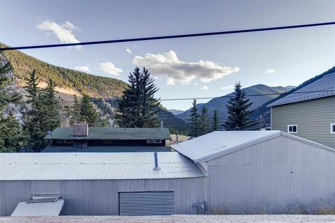 268 E Park Ave, Empire, CO 80438 photo 29