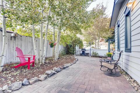 268 E Park Ave, Empire, CO 80438 photo 9