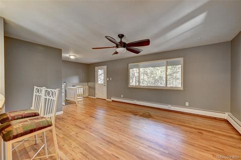29046 Pine Rd, Evergreen, CO 80439 photo 9