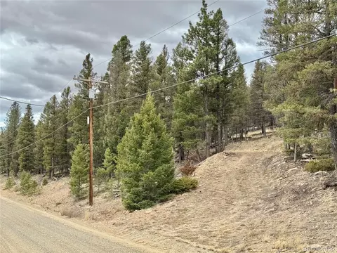 2403 Redhill Rd, Fairplay, CO 80440