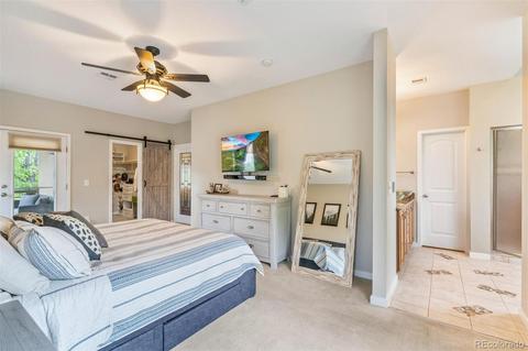 719 Ivanhoe St, Denver, CO 80220 photo 25