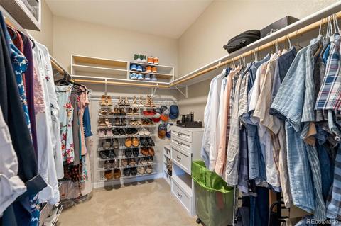 719 Ivanhoe St, Denver, CO 80220 photo 31