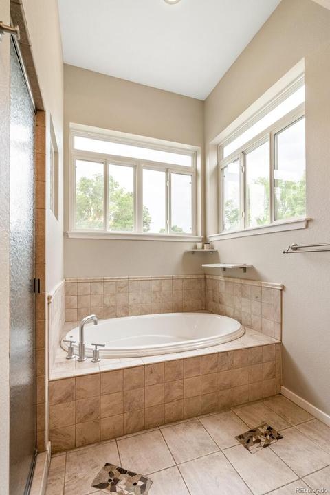 719 Ivanhoe St, Denver, CO 80220 photo 28