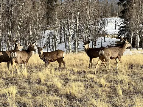 821 Warpath Rd, Como, CO 80432 photo 5