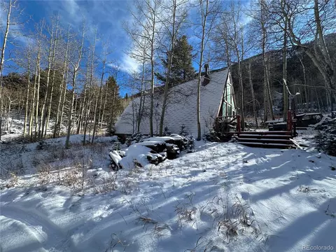 1060 Paul St, Silver Plume, CO 80476