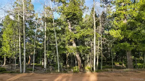 68 Yale Pl, Woodland Park, CO 80863