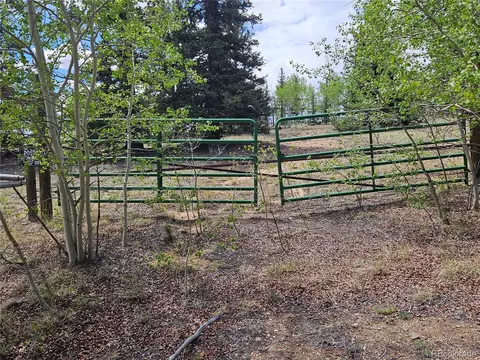 412 Smith And Wesson Rd, Como, CO 80456 photo 3