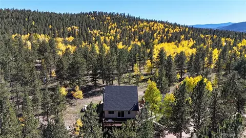Other - 92 Four Bits St, Bailey, CO 80421 photo 18 of 22