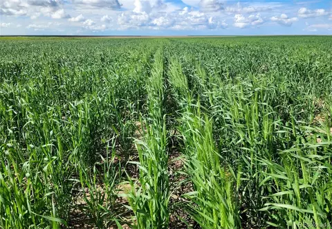 County Road 32, Akron, CO 80720