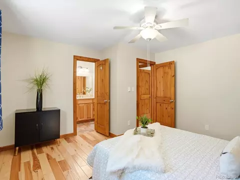 9039 S Bertha Ct, Morrison, CO 80465 photo 18