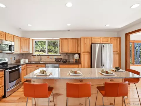 9039 S Bertha Ct, Morrison, CO 80465 photo 12