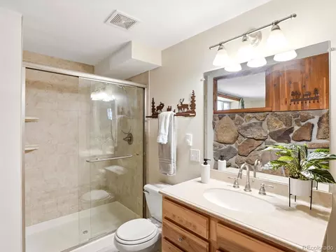 9039 S Bertha Ct, Morrison, CO 80465 photo 27
