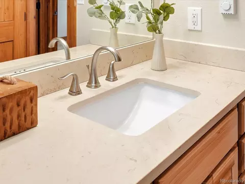9039 S Bertha Ct, Morrison, CO 80465 photo 20