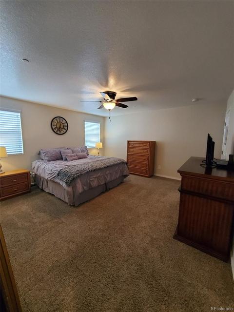 11401 Greenview St, Bennett, CO 80102 photo 8